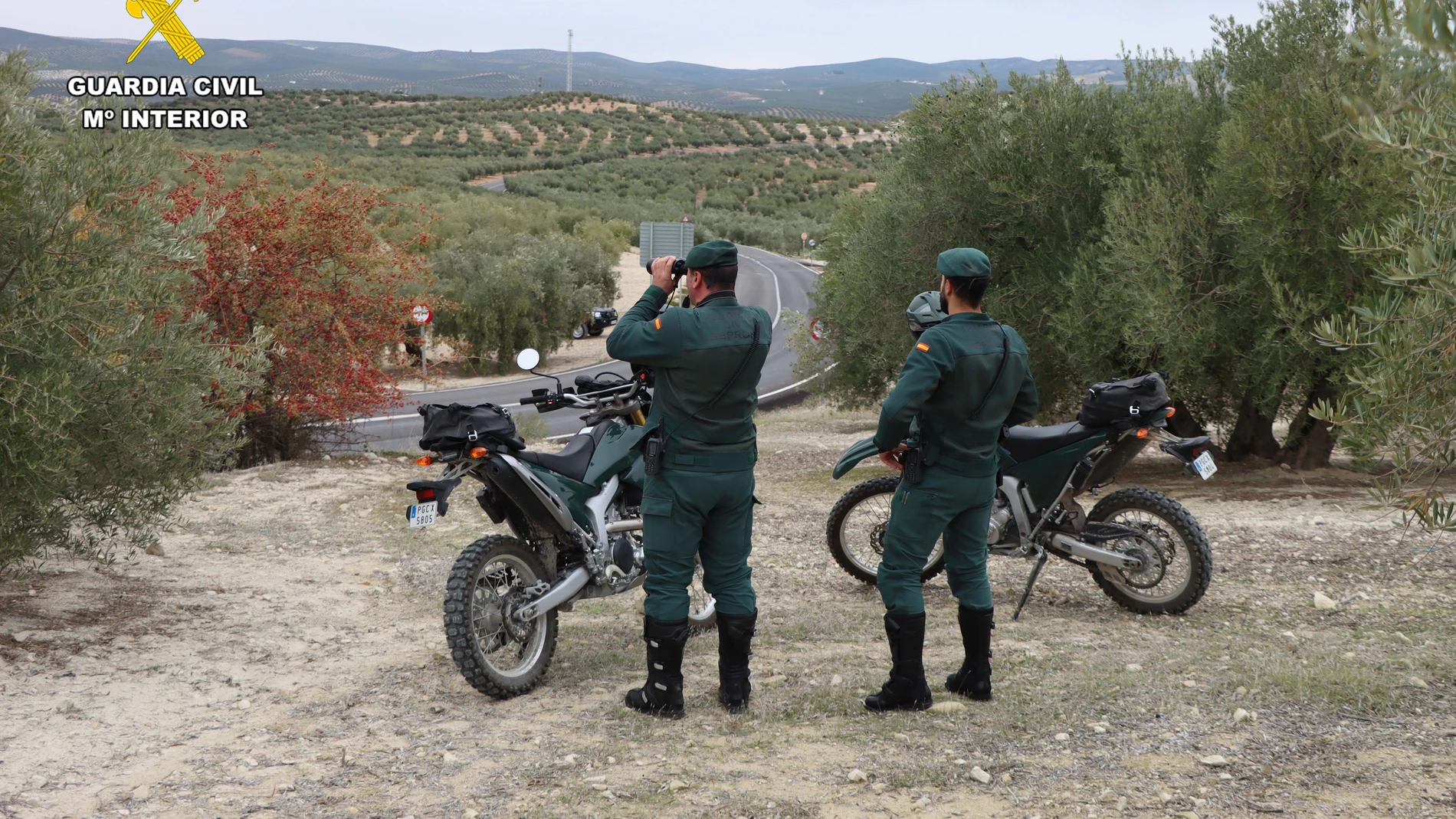 (Foto de ARCHIVO)Agentes del Seprona.REMITIDA / HANDOUT por Guardia CivilFotografía remitida a medios de comunicación exclusivamente para ilustrar la noticia a la que hace referencia la imagen, y citando la procedencia de la imagen en la firma09/11/2023