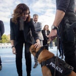 Ayuso presenta el Plan Regional contra las Drogas en Torrejón de Ardoz (Madrid)