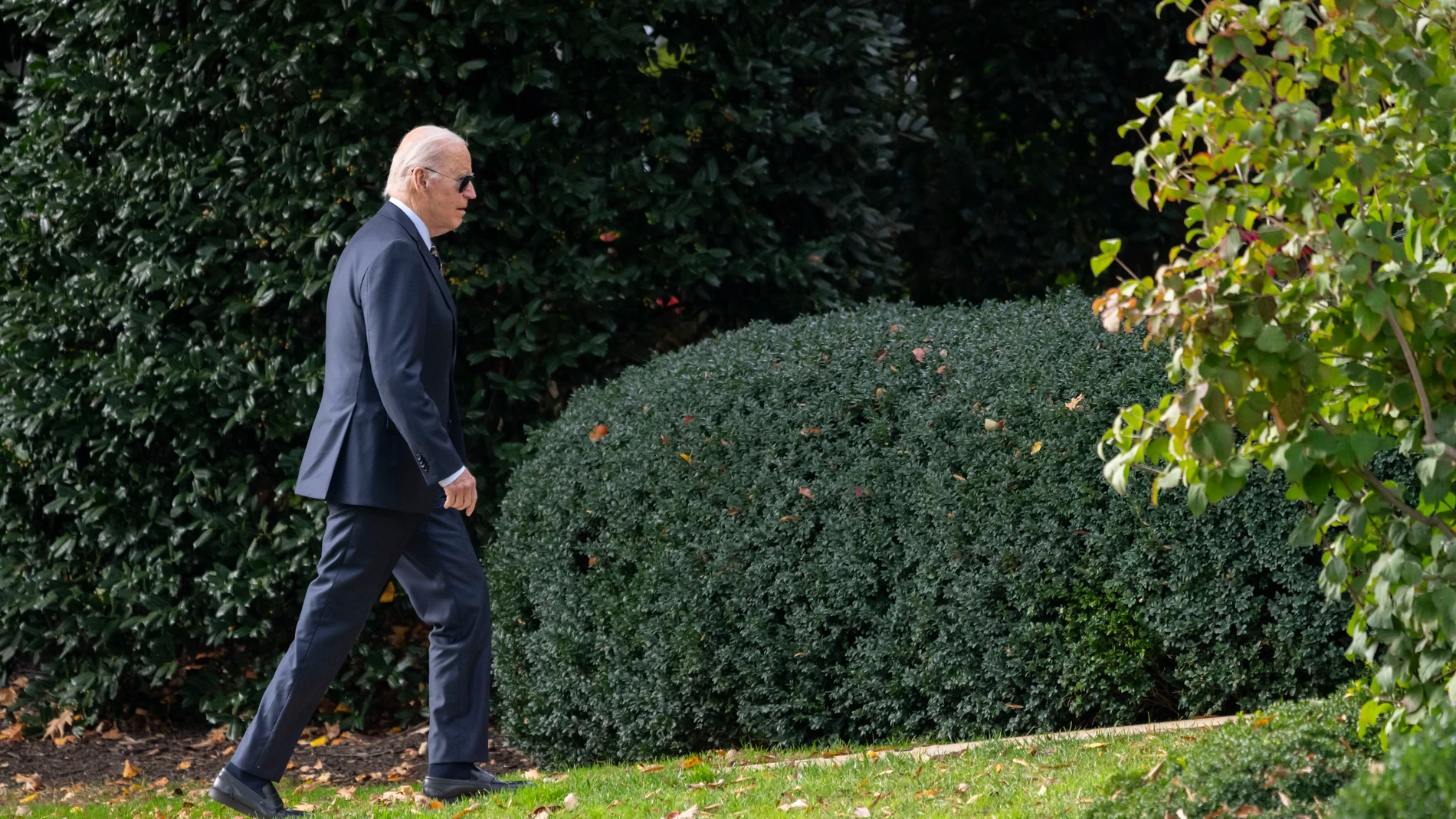 President Joe Biden walks toward the Oval Office after arriving on the South Lawn of the White House in Washington, Monday, Nov. 4, 2024. (AP Photo/Ben Curtis)