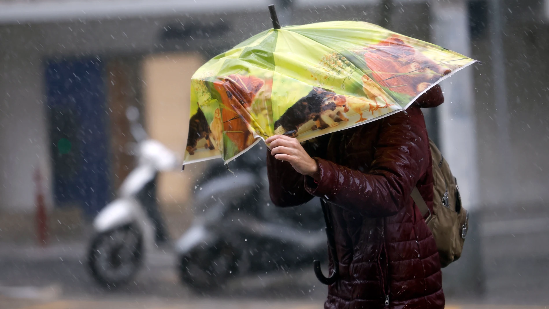 GRAFCAT035. BARCELONA, 04/11/2024.- Una mujer se protege de la lluvia en el centro de Barcelona este lunes cuando las comarcas de del Garraf y del Barcelonès, en Barcelona, están en aviso rojo de la Agencia Estatal de Meteorología (Aemet), y la Generalitat ha enviado una alerta a los teléfonos móviles por la llegada de lluvias continuadas y torrenciales. EFE/Alberto Estévez