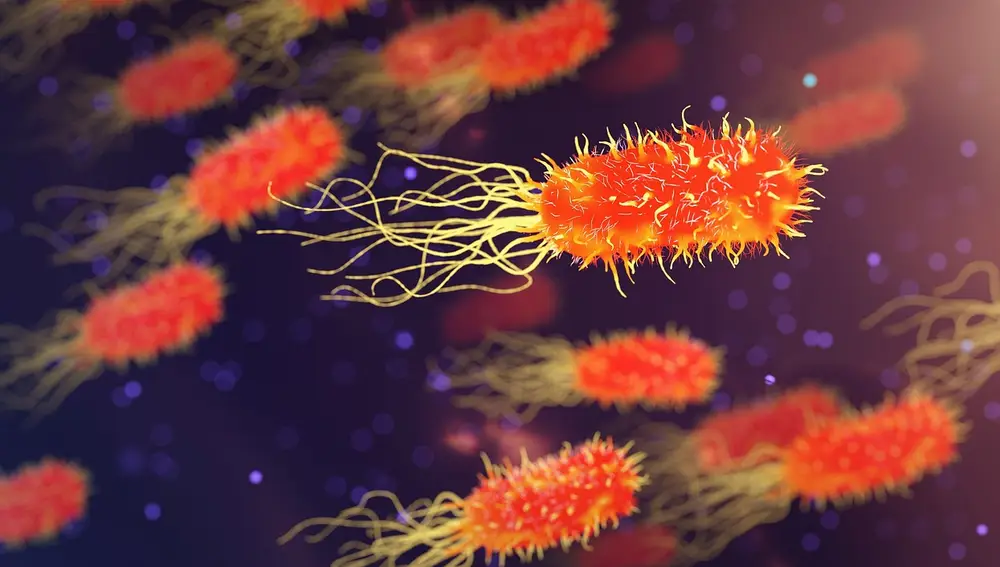 Bacterias ciliadas