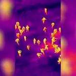 La Guardia Civil continúa la búsqueda de víctimas de la DANA