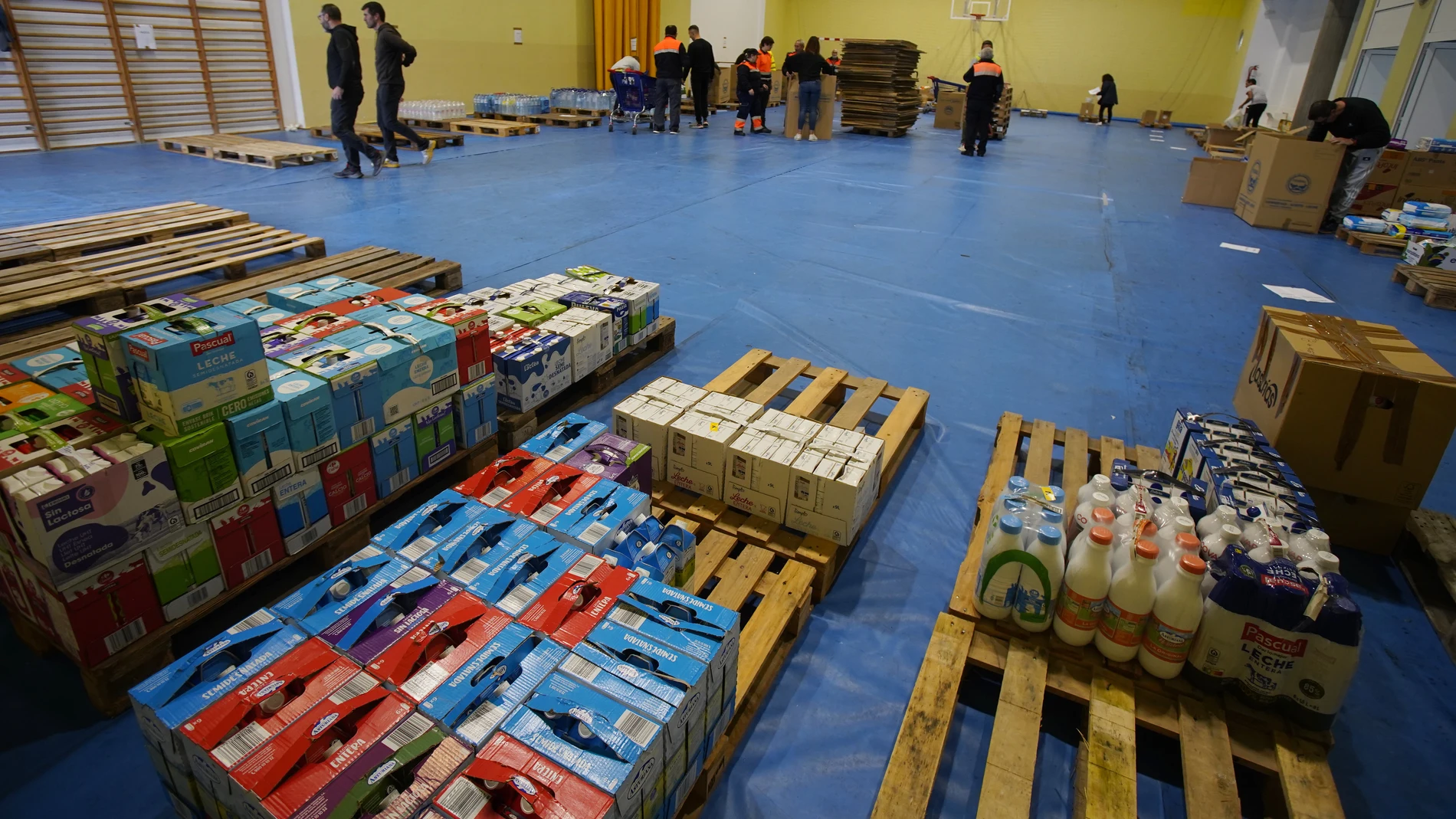 Recogida de material en Ponferrada