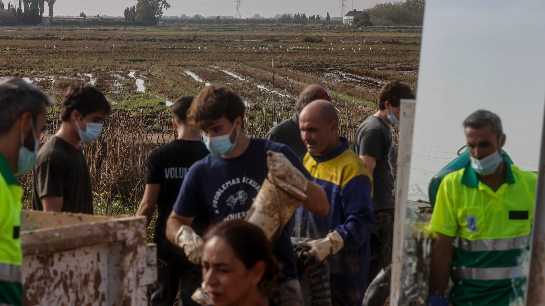 Varias personas ayudan a limpiar los estragos ocasionados por la DANA en una huerta, a 5 de noviembre de 2024, en Valencia, Comunidad Valenciana (España). Hoy, se cumple una semana desde que la DANA arrasara la Comunitat Valenciana. Hasta el momento, hay 211 víctimas mortales y cuantiosos daños materiales en alrededor de 70 municipios de la provincia de Valencia, desde donde todavía hoy se siguen retirando enseres, vehículos y haciendo achiques de agua. Se ha restablecido ya el 98% del servic...