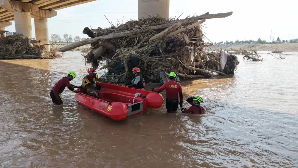 Bomberos y efectivos de la UME buscan víctimas de la DANA en el nuevo cauce del río Turia en Valencia