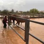 Una de las hípicas de la zona afectada por la DANA