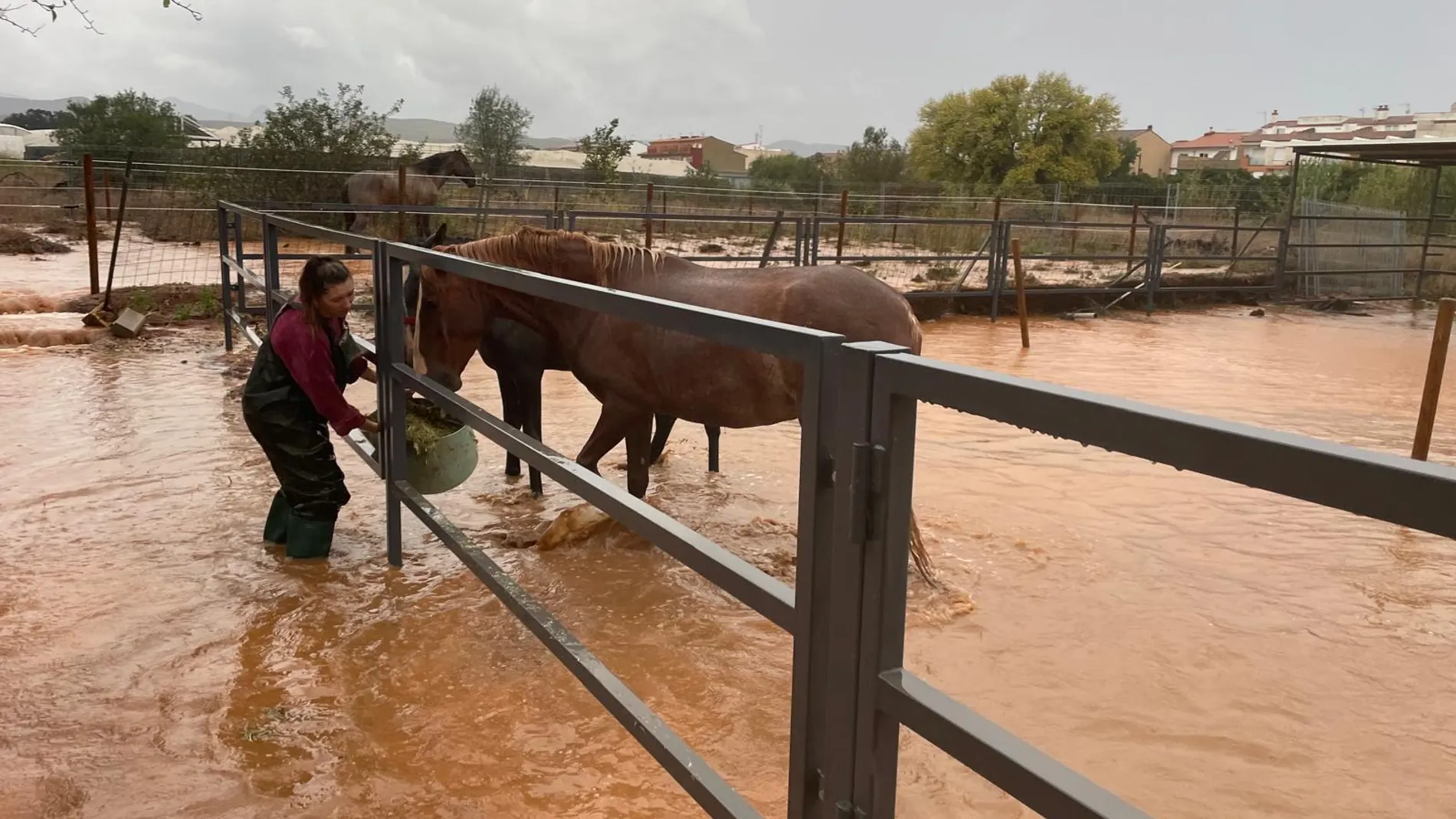 Una de las hípicas de la zona afectada por la DANA
