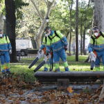 Limpieza de hojas en Madrid
