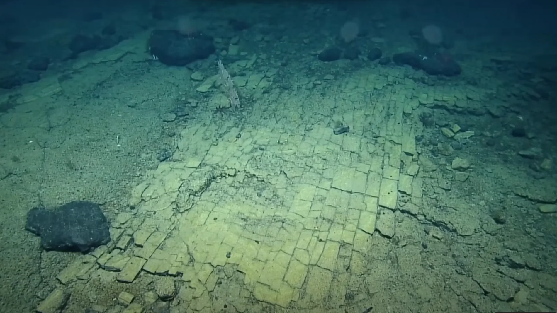 Un descubrimiento en el fondo del océano pacifico deja atónitos a científicos
