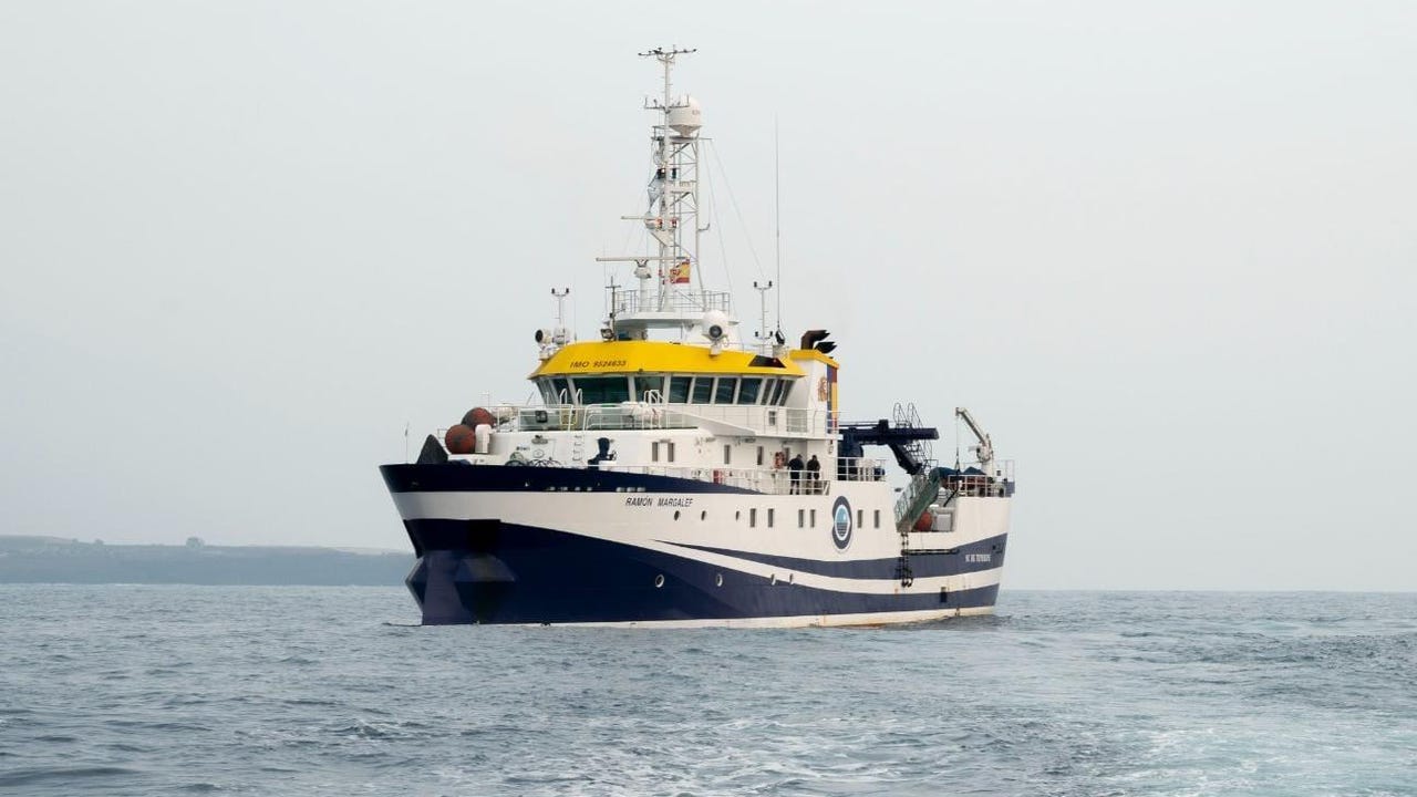 Ni con los brazos ni con las piernas: un luchador egipcio arrastra un barco de 700 toneladas…¡con sus dientes!
