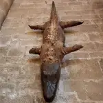 El legendario caimán que se esconde en una iglesia de un pequeño pueblo de Soria