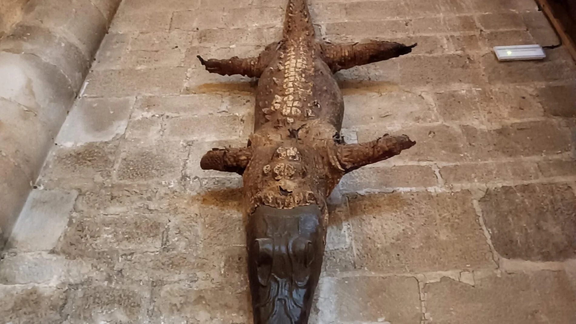 El legendario caimán que se esconde en una iglesia de un pequeño pueblo de Soria
