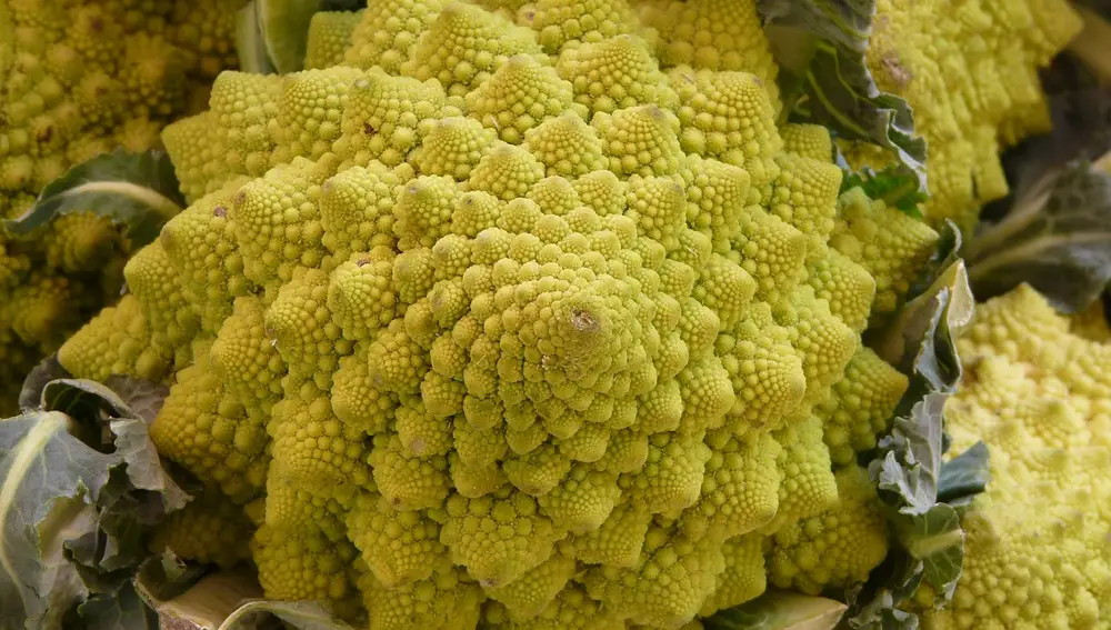 Romanesco verdura