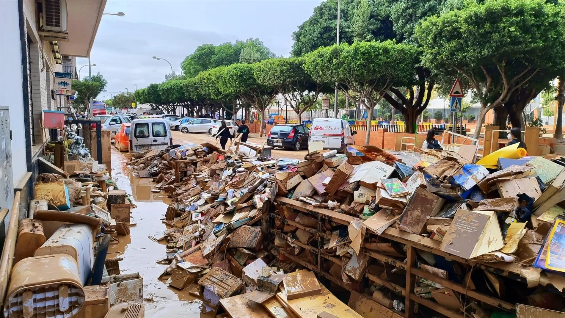 Libros afectados por la DANA