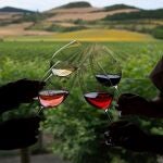 Sobrevolar viñedos en globo y recorrer bodegas catedrales con una copa de vino, ideas para el Día Mundial del Enoturismo