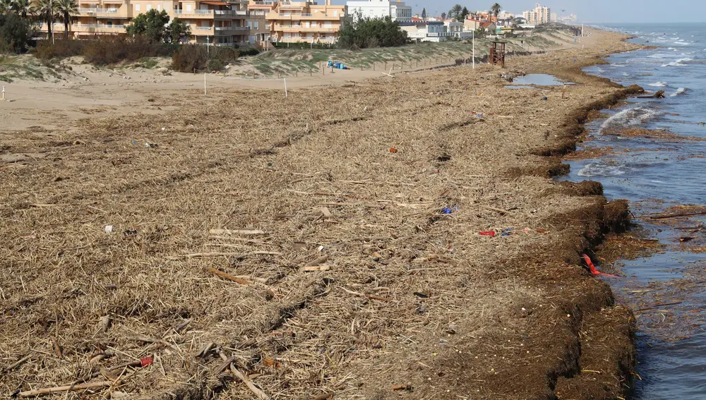 Temporal.- Cullera cierra las playas e inicia el trámite de limpieza urgente