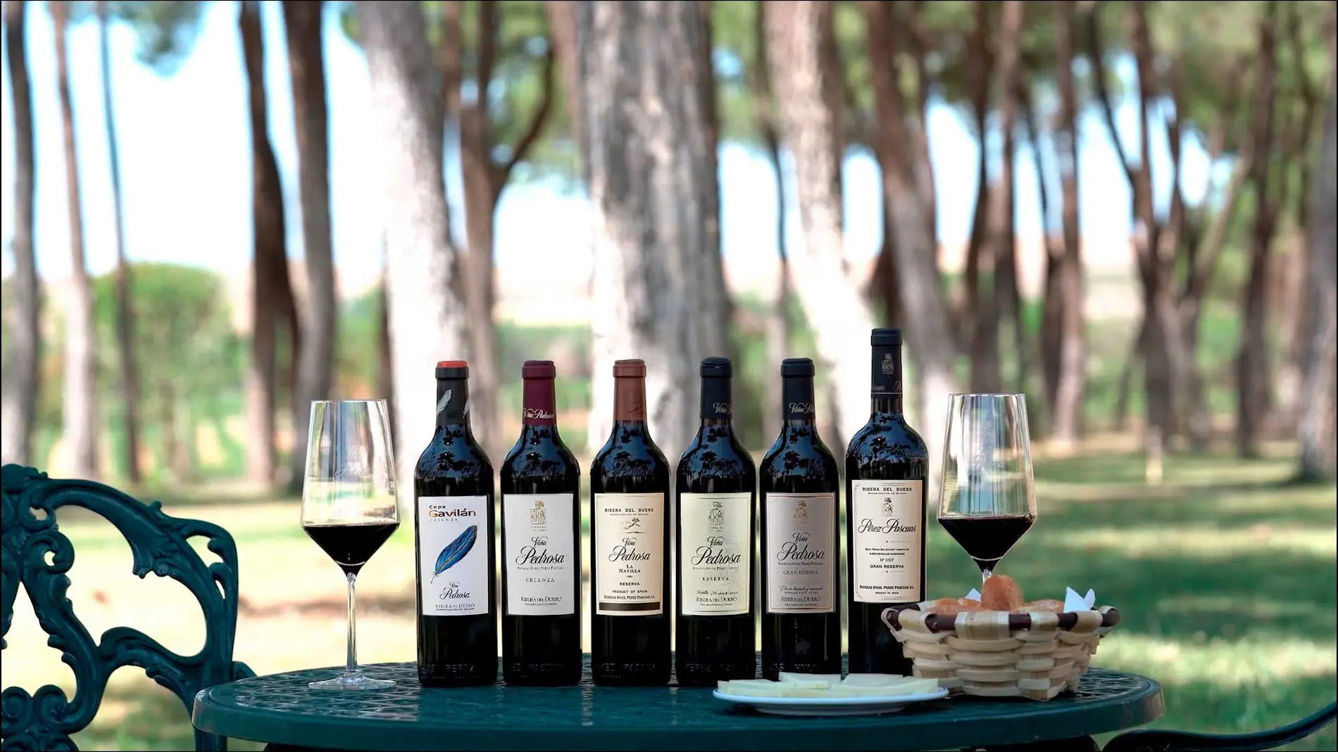 La bodega produce 600.000 botellas al año repartidas entre sus seis marcas: Cepa Gavilán Crianza, Viña Pedrosa Crianza, Finca La Navilla, Viña Pedrosa Reserva, Viña Pedrosa Gran Reserva y Pérez Pascuas Gran Selección.