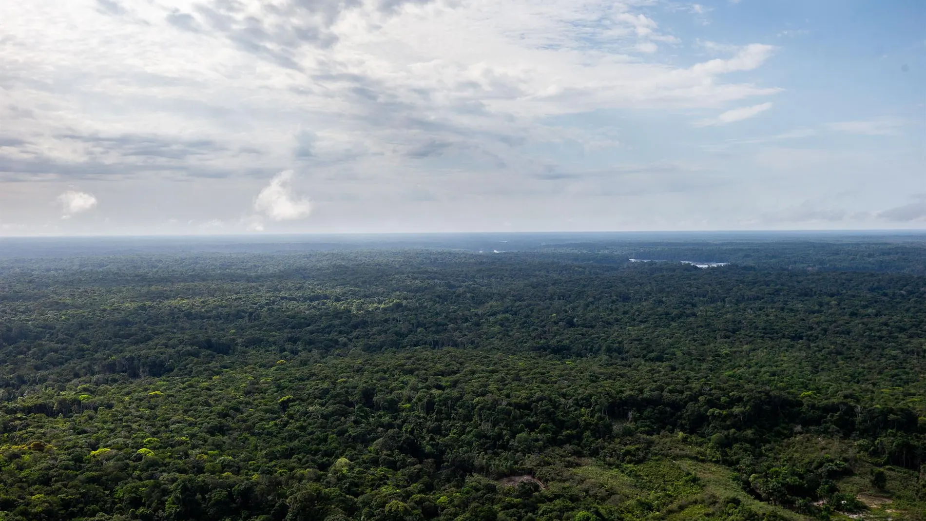 La Amazonía brasileña, una de las zonas en el punto de mira de la nueva ley