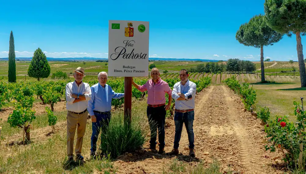 Hnos. Pérez Pascuas acaba de ser galardonada con el Premio a la Excelencia Turística en Enoturismo en Ribera del Duero.