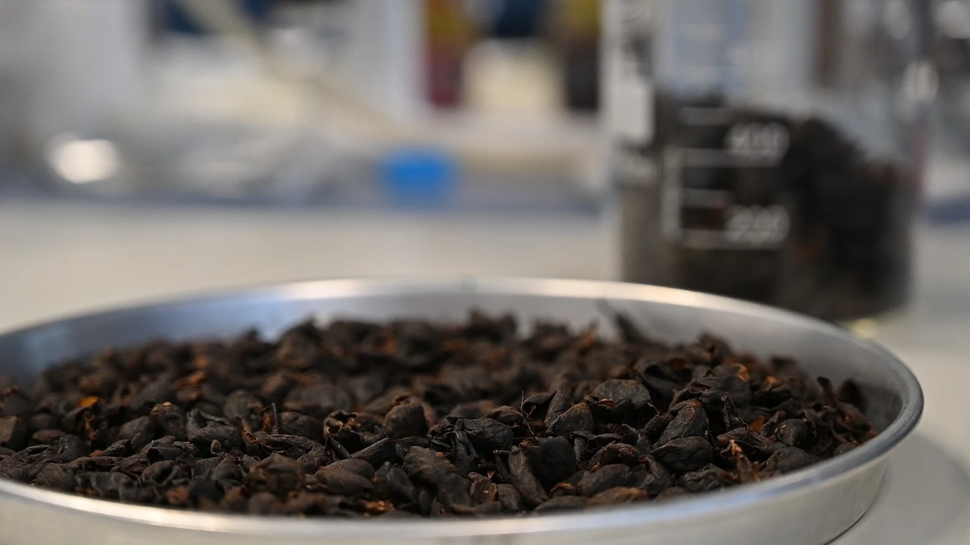 (Foto de ARCHIVO) Cáscaras de café en el laboratorio del equipo del Instituto de Investigación en Ciencias de la Alimentación (CIAL) REMITIDA / HANDOUT por LORENZO PLANA Fotografía remitida a medios de comunicación exclusivamente para ilustrar la noticia a la que hace referencia la imagen, y citando la procedencia de la imagen en la firma 01/01/1970