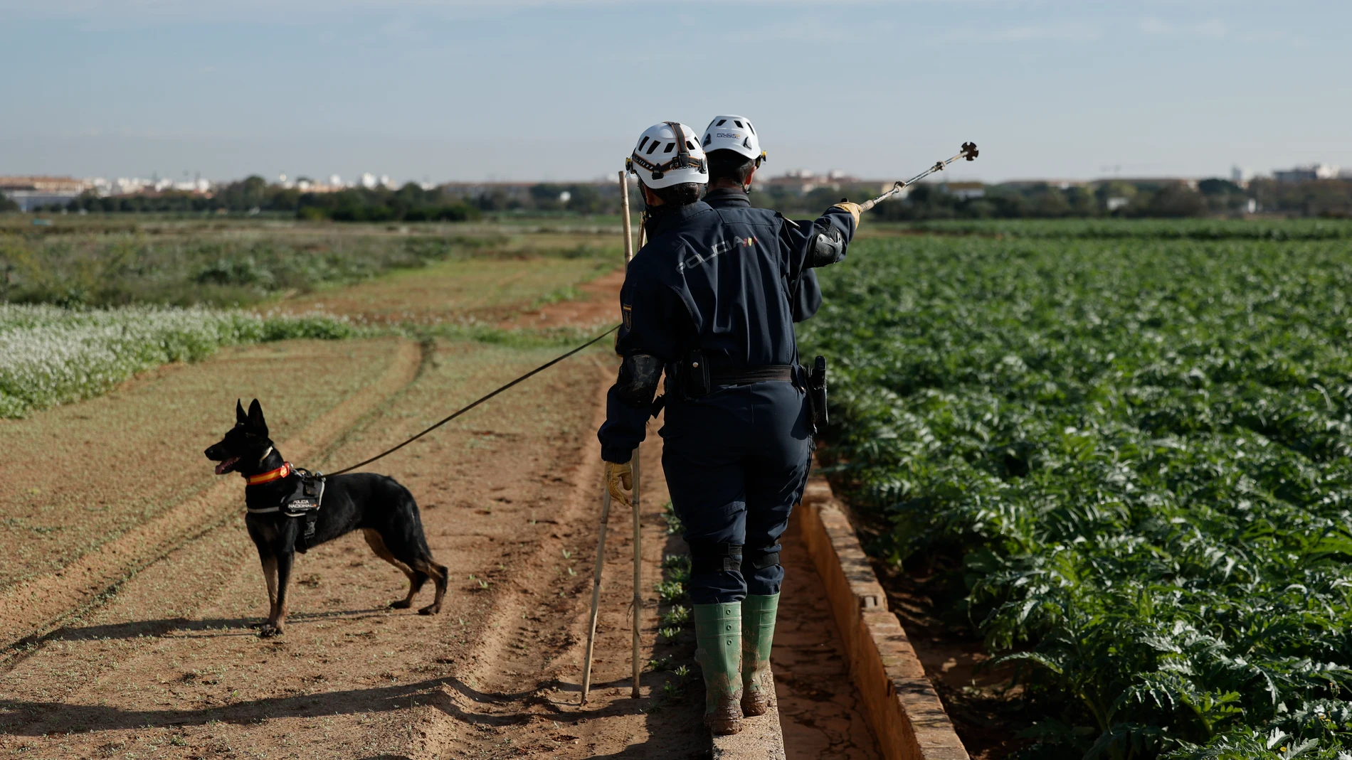 PAIPORTA (VALENCIA), 08/11/2024.-Efectivos de la Policía Nacional con perros realiza labores de búsqueda de cuerpos arrastrados por las riadas en Paiporta, este viernes. Diez días después de la tragedia, los servicios de emergencia apuran hasta el límite la búsqueda de desaparecidos por la dana en Vàlencia, mientras, en medio de un cruce político de acusaciones entre administraciones por la gestión de la crisis, los miles de damnificados evalúan los daños y su vida sigue condicionada por los ...