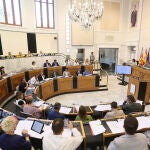 El pleno de la Diputación de Alicante en una imagen de archivo