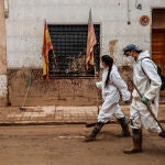 La DANA ha causado estragos en 69 municipios de la provincia de Valencia