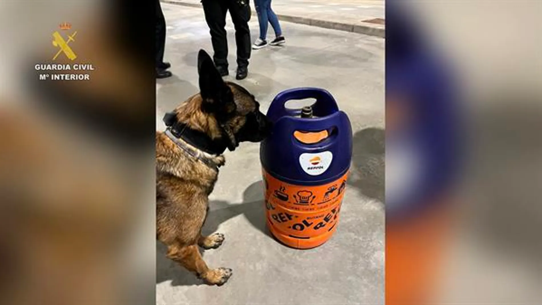Una de las bombonas con droga que ha incautado la Policía gracias a un perro de su unidad canina