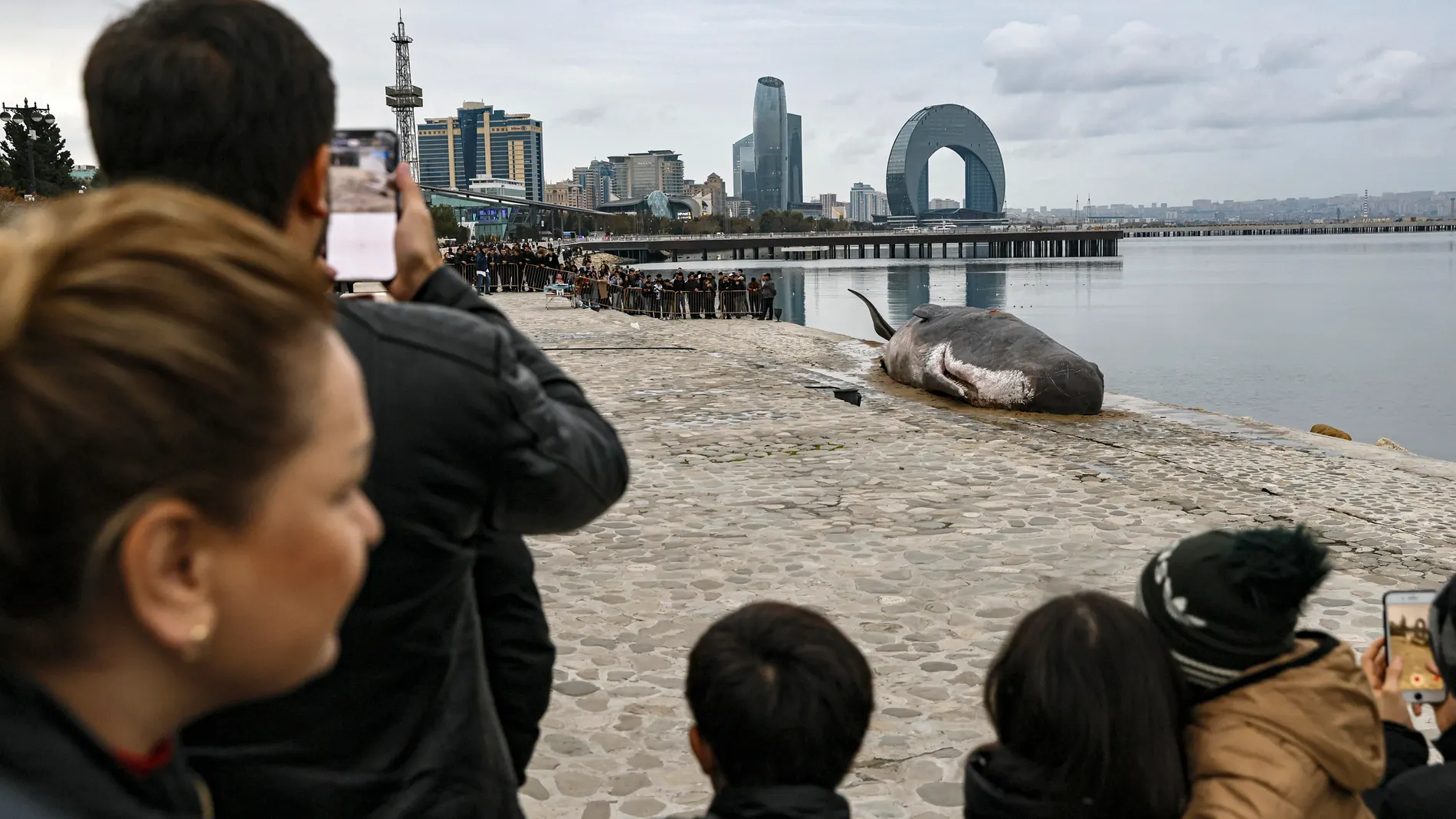 Recreación de una ballena varada en Bakú (Afganistán) durante la COP29