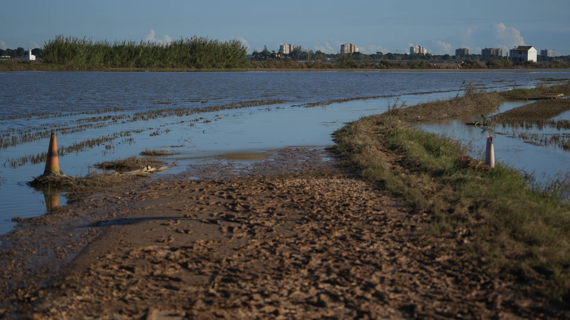 La Albufera en el día 13 tras el paso de la DANA por Valencia, a 11 de noviembre de 2024, en Valencia, Comunidad Valenciana (España). Casi dos semanas después del paso de la DANA que arrasó la provincia de Valencia y mientras siguen las tareas de búsqueda de víctimas, la cifra oficial de desaparecidos se sitúa en 32 y quedan ocho cadáveres sin identificar. El número total de fallecidos se mantiene en 214. Con el fin de ayudar a los damnificados, el Consejo de Ministros de hoy ha aprobado un s...