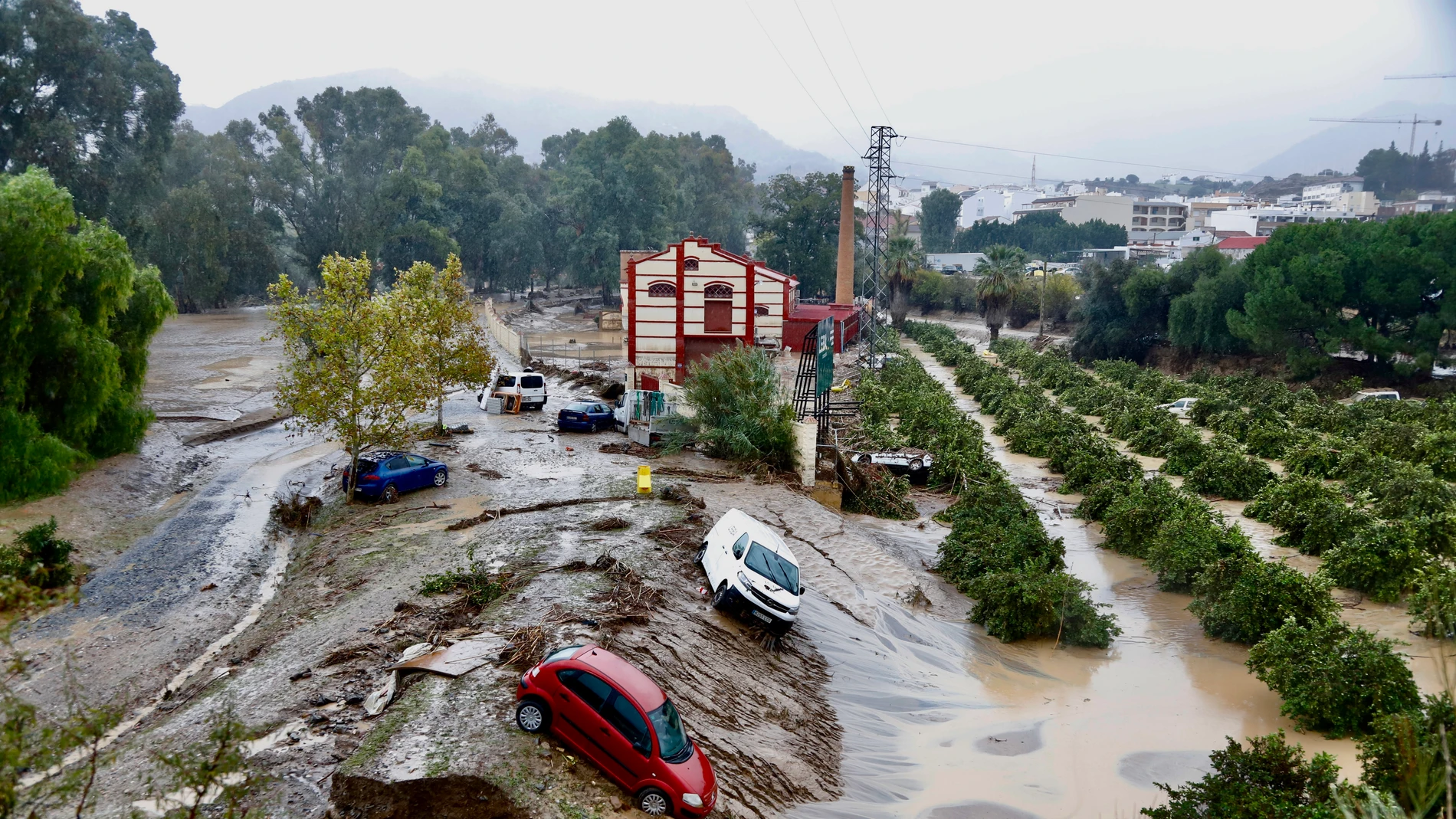 Coches destrozados tras el paso de la Dana en la provincia de Málaga