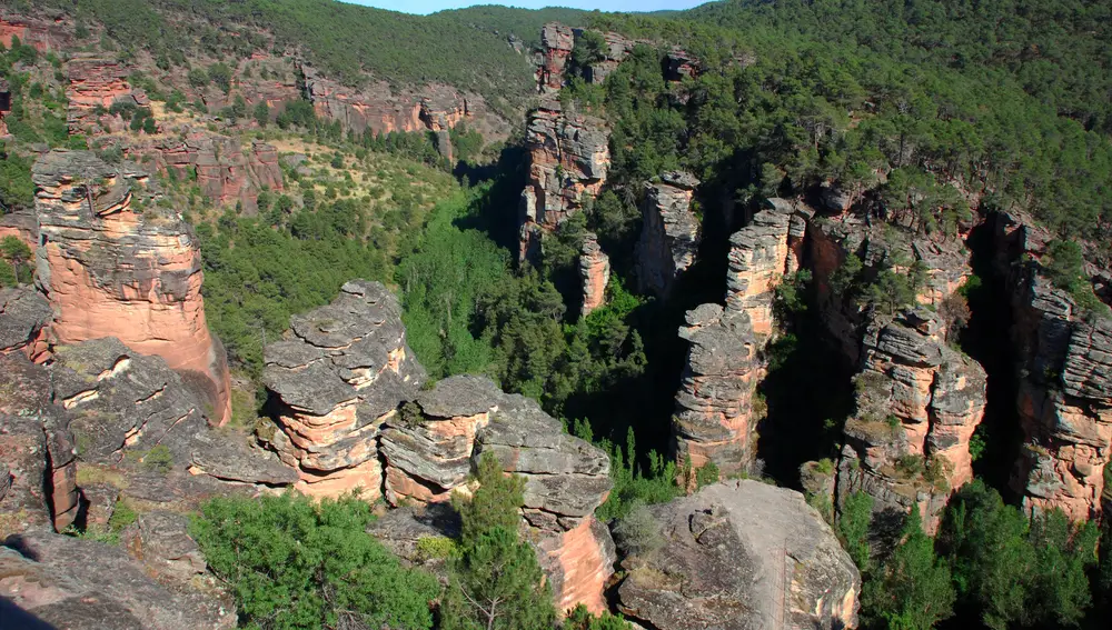 Barrancos de la Hoz (Guadalajara)