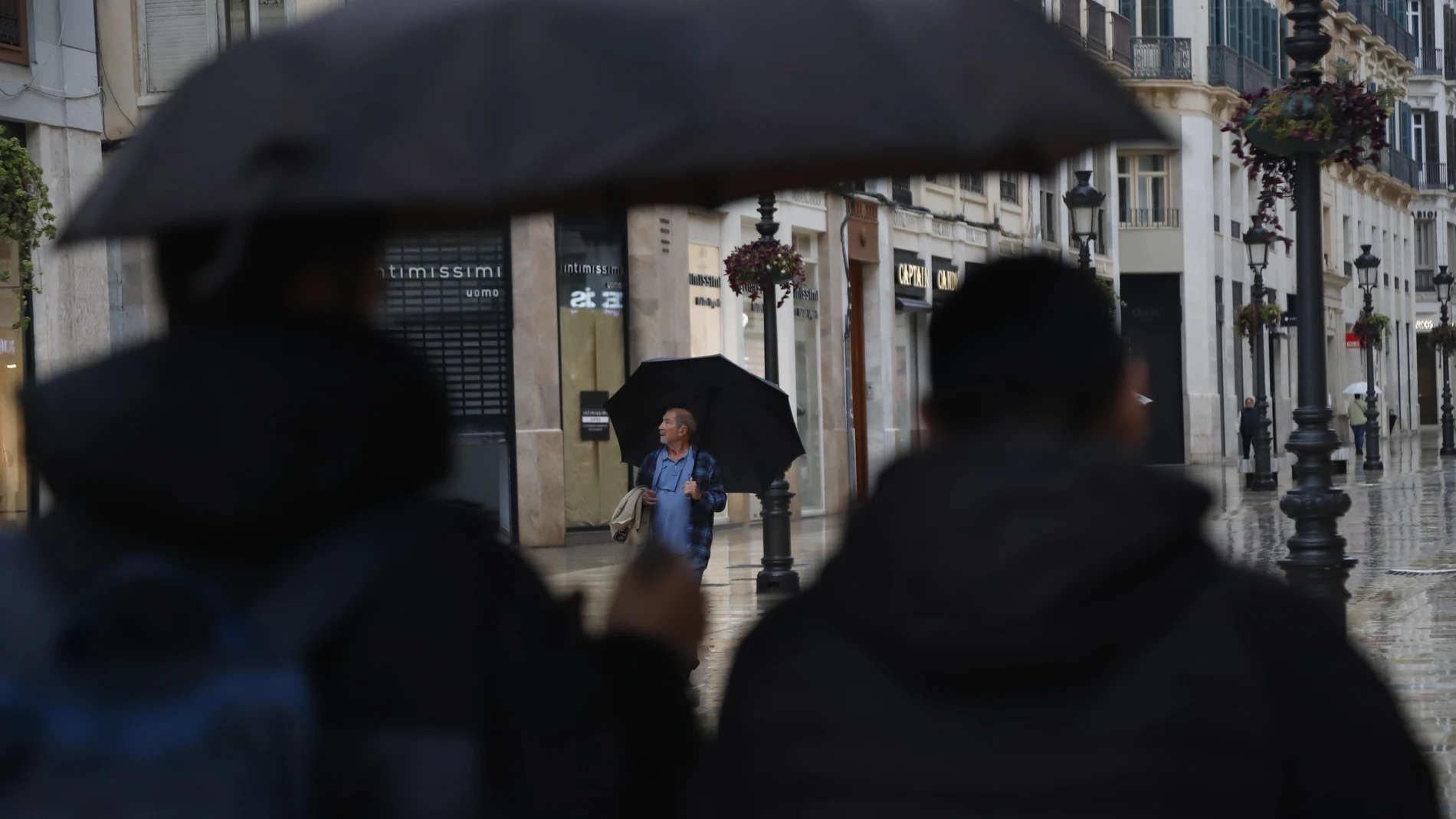 Paraguas en la calle Larios de Málaga