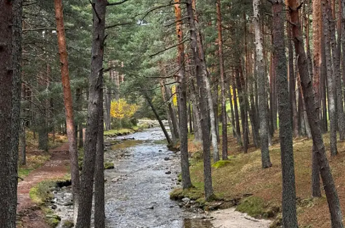 Escapada de fin de semana por el monte donde ya rebosan las setas y a un paso de Madrid Escapada de fin de semana por el monte donde ya rebosan las setas y a un paso de Madrid