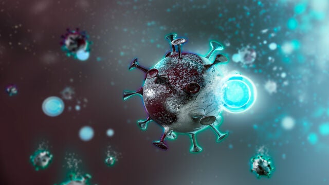 El ISCIII documenta los primeros casos en España de un enterovirus raro