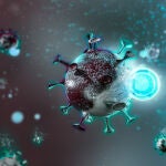 El ISCIII documenta los primeros casos en España de un enterovirus raro