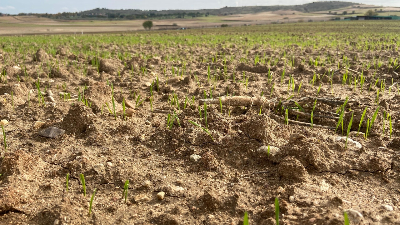 Otoño se prevé más cálido y seco de lo normal en Andalucía, tras el verano más caluroso de la historia