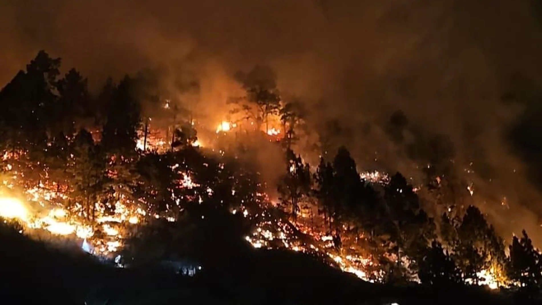 Incendio en El Paso (La Palma) REMITIDA / HANDOUT por CONSEJERÍA DE TRANSICIÓN ECOLÓGICA Y ENERGÍA Fotografía remitida a medios de comunicación exclusivamente para ilustrar la noticia a la que hace referencia la imagen, y citando la procedencia de la imagen en la firma 12/11/2024