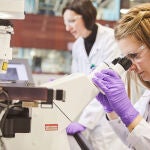 Las últimas investigaciones han revelado los efectos de la nicotina 