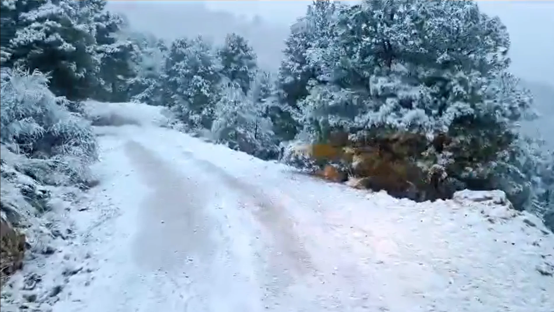 Vuelve la nieve