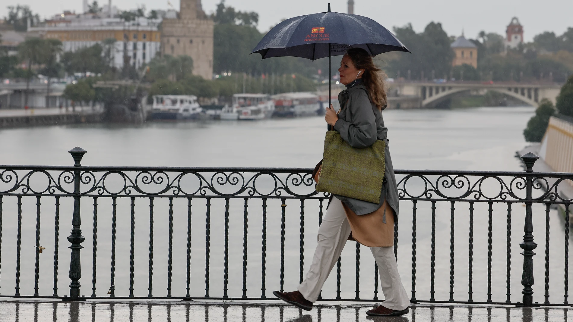 GRAFAND4569. SEVILLA, 14/11/2024.- Una mujer resguardada por un paraguas camina por Sevilla capital este jueves en el que la Agencia Estatal de Meteorología (Aemet) mantiene la alerta naranja por lluvias en la provincia sevillana. EFE /José Manuel Vidal