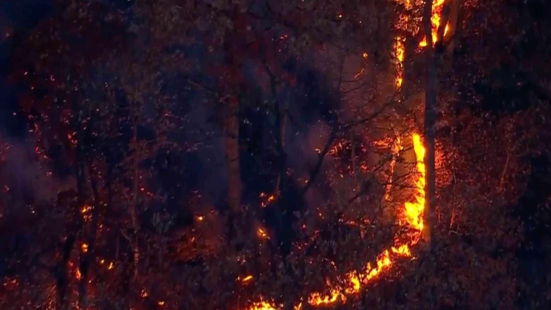 This aerial image taken from video shows a brush fire that broke out in a park on the northern tip of Manhattan in Inwood, N.Y., Wednesday, Nov. 13, 2024. (WABC-TV via AP)