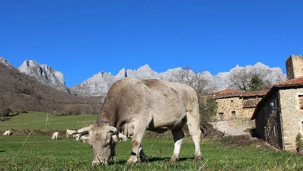 El pueblo de Heidi está en Cantabria y es más bonito que los Alpes Suizos