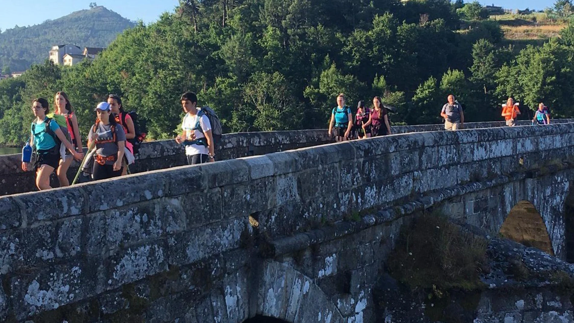 Camino de Santiago por la provincia de Soria
