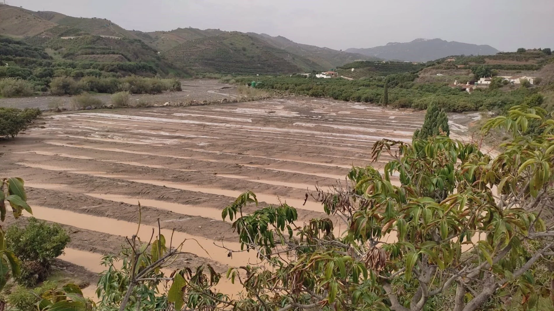 Economía.- Asaja alerta de graves daños ocasionados en la agricultura y ganadería en Málaga tras el paso de la DANA