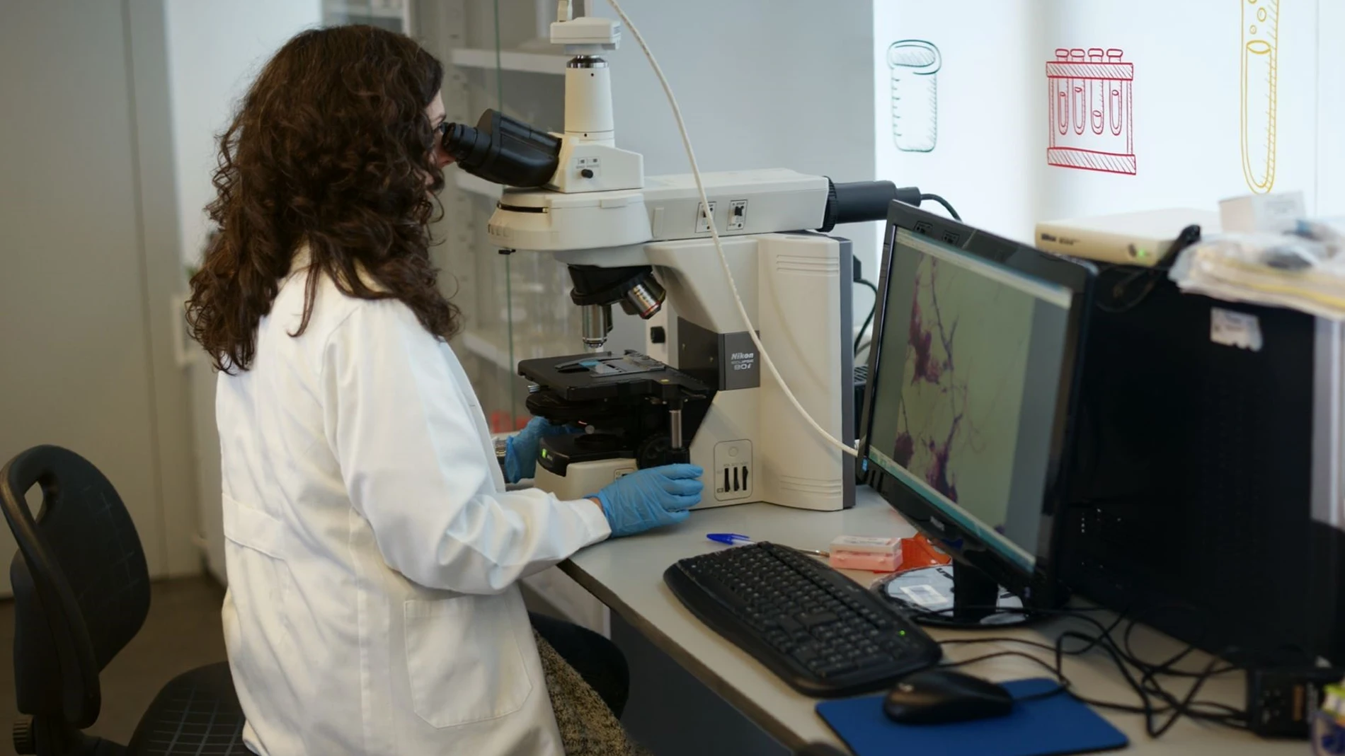 (Foto de ARCHIVO) Laboratorio REMITIDA / HANDOUT por DIPUTACIÓN DE BADAJOZ Fotografía remitida a medios de comunicación exclusivamente para ilustrar la noticia a la que hace referencia la imagen, y citando la procedencia de la imagen en la firma 28/11/2016