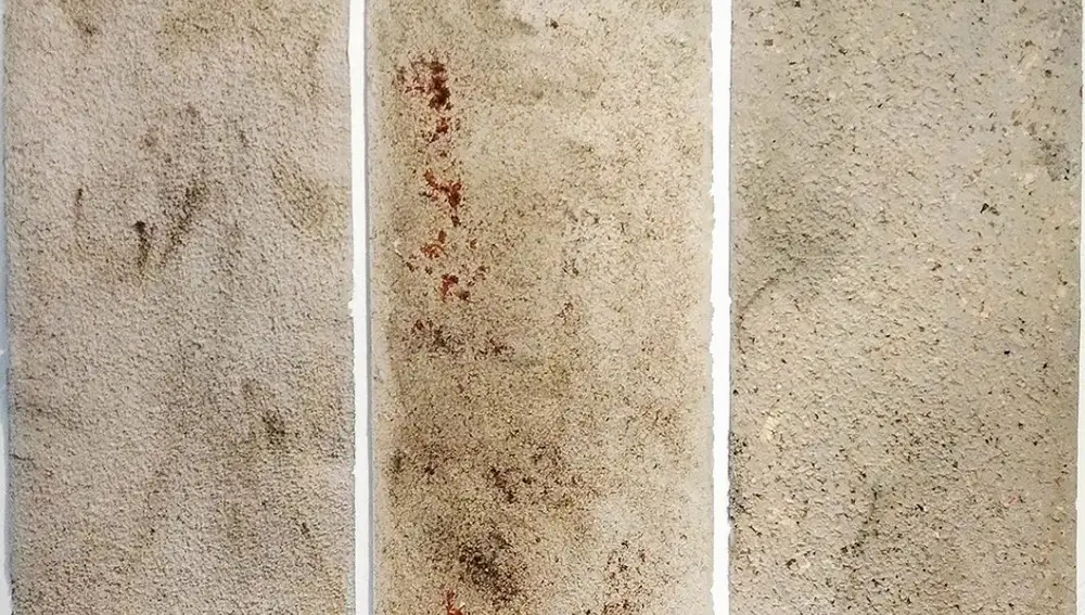 Composición de las trabajos de María Esteve
