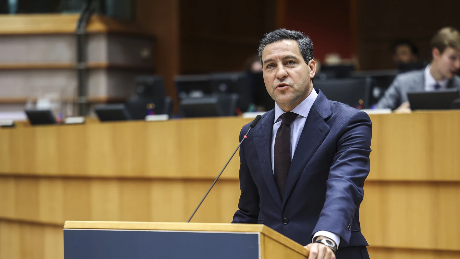 El europarlamentario popular, Raúl de la Hoz, durante su intervención
