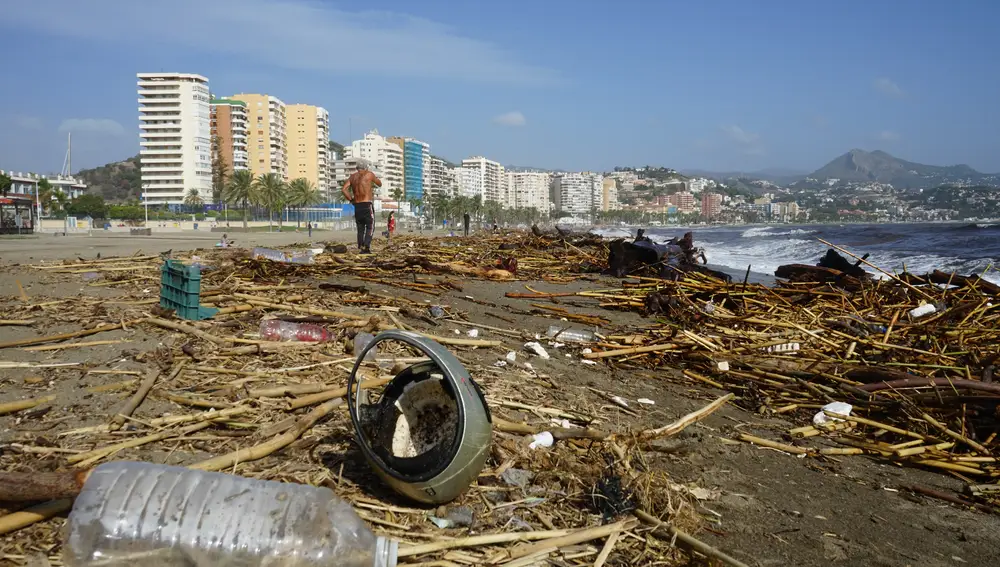 Aspecto de la Playa de la Malagueta llena de basura, cañas y troncos tras el paso de la DANA