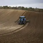 Campo de cultivo en Quijorna